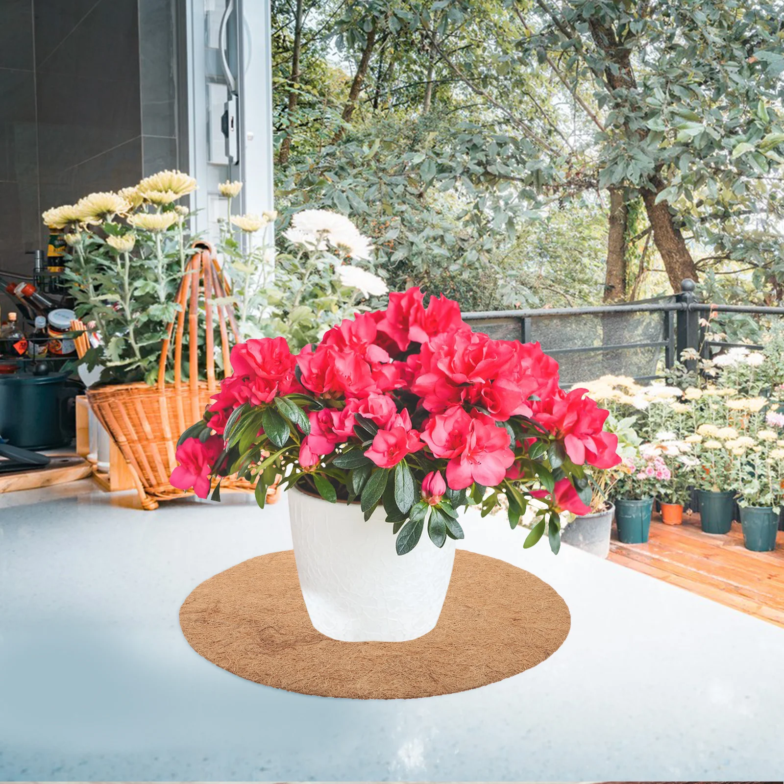 4pcs Coconut Fiber Mat Thickened Reusable Planter Liner Tree Root Cover Weed Prevention Durable Mulch Ring Garden Ground Cover
4pcs Coconut Fiber Mat Thickened Reusable Planter Liner Tree Root Cover Weed Prevention Durable Mulch Ring Garden Ground Cover