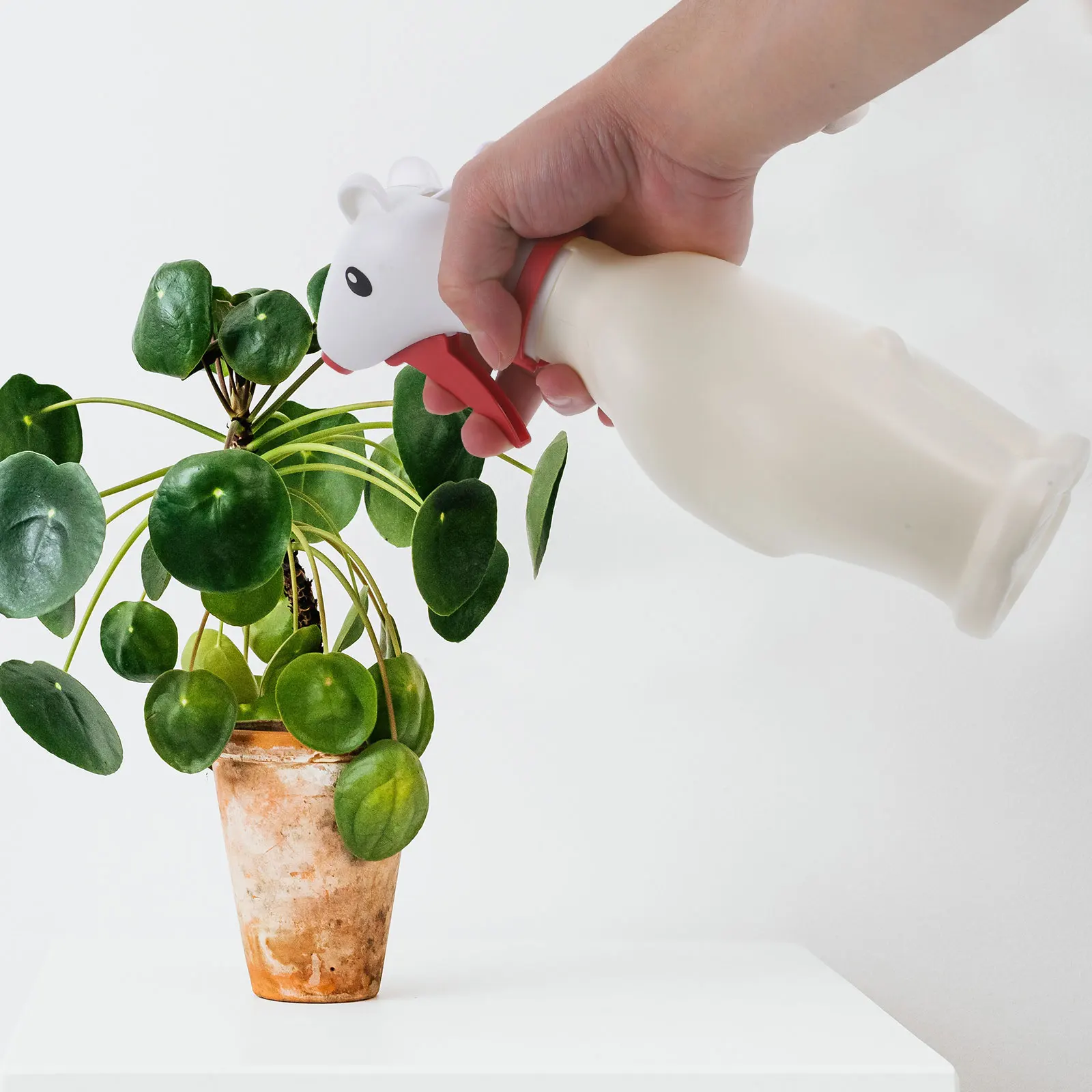 Spray Bottle For Plants Watering Can Portable Garden Sprayer Reusable Plant Mister Indoor Outdoor Gardening Tools
Spray Bottle For Plants Watering Can Portable Garden Sprayer Reusable Plant Mister Indoor Outdoor Gardening Tools