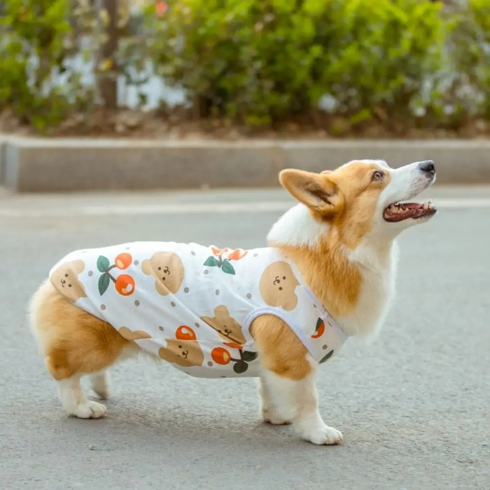 Funny Creative Cute Dog Clothes Animal Shaped Soft Small Dog T-shirt Colorful Cartoon Pet Coat Vest Pet Accessories
Funny Creative Cute Dog Clothes Animal Shaped Soft Small Dog T-shirt Colorful Cartoon Pet Coat Vest Pet Accessories