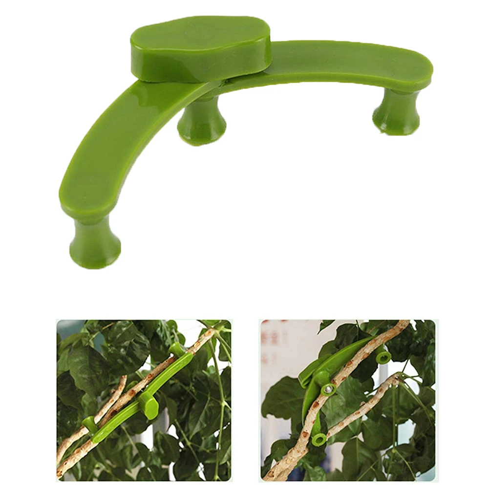 Plant Bender Plant Training Clips Flowers Fruit Tree Shaper Green PP Plant Training Clips Plant Branch Benders
Plant Bender Plant Training Clips Flowers Fruit Tree Shaper Green PP Plant Training Clips Plant Branch Benders