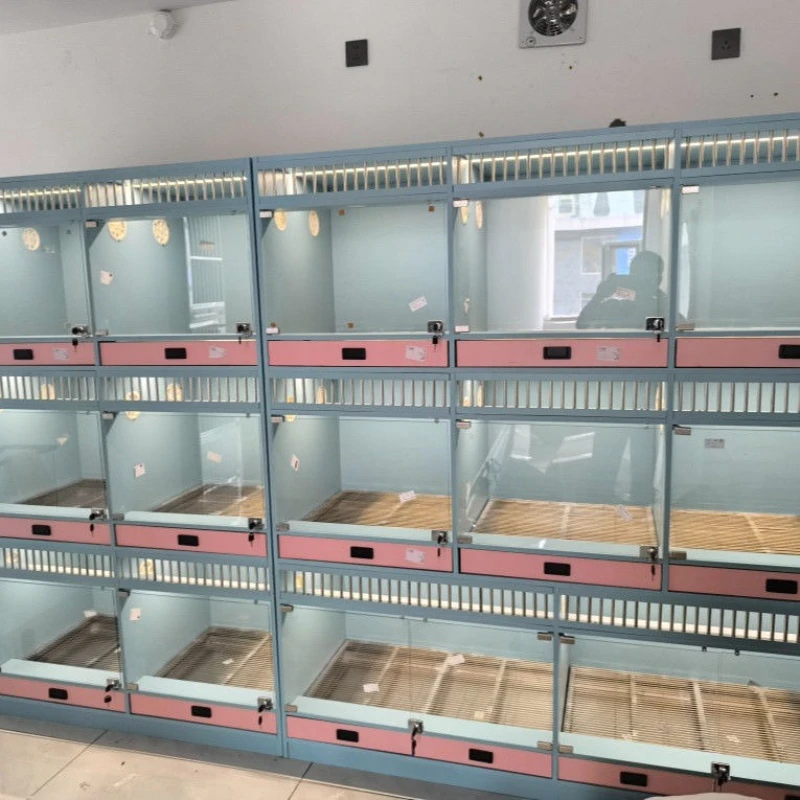 Pet dog display cabinet Small dog display cabinet Dog cage Internet celebrity live breeding Solid wood waterproof
Pet dog display cabinet Small dog display cabinet Dog cage Internet celebrity live breeding Solid wood waterproof