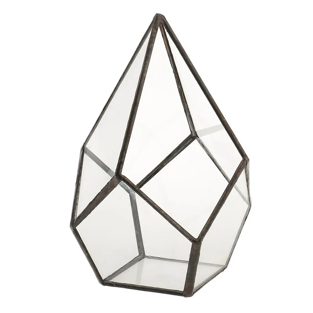 Geometric Glass Open Fern Moss Succulent Plant Planter home and garden Flower Pot
Geometric Glass Open Fern Moss Succulent Plant Planter home and garden Flower Pot