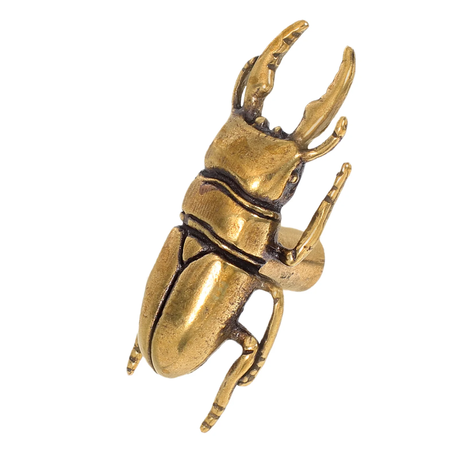 Brass Beetle Furniture Pull Decorative Insect Drawer Knobs for Dresser Closet Cupboards Kitchen Cabinet Hardware
Brass Beetle Furniture Pull Decorative Insect Drawer Knobs for Dresser Closet Cupboards Kitchen Cabinet Hardware