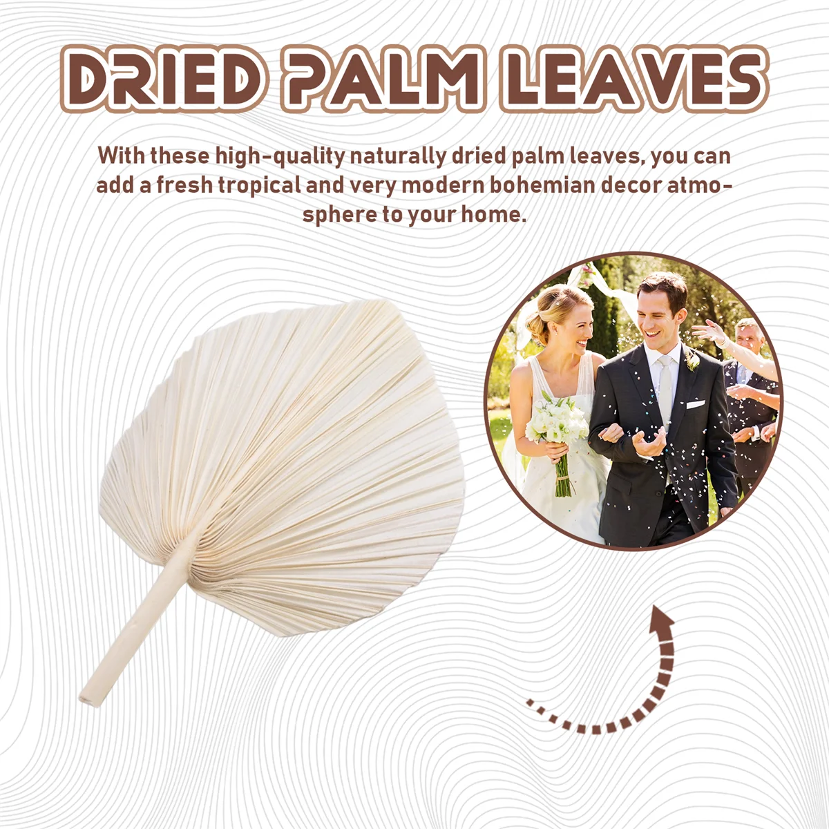 ABEZZ Large White Dried Palm Leaves - Premium Quality - 3 Pcs Elegant Modern Boho Home & Wedding Decor - Wall Art
ABEZZ Large White Dried Palm Leaves - Premium Quality - 3 Pcs Elegant Modern Boho Home & Wedding Decor - Wall Art