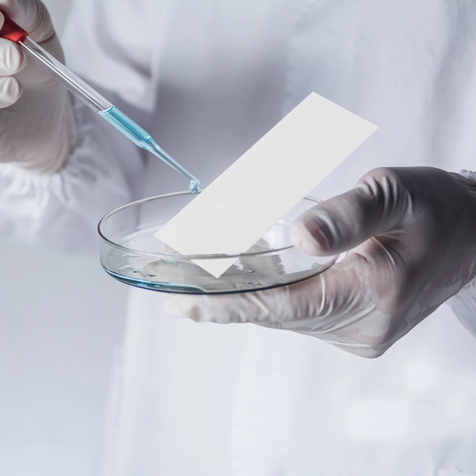 500 Pcs Absorbent Paper Consumables Laboratory Instruments Blotting Papers High Absorbing Strip Oil Grease Experimental Filter
500 Pcs Absorbent Paper Consumables Laboratory Instruments Blotting Papers High Absorbing Strip Oil Grease Experimental Filter