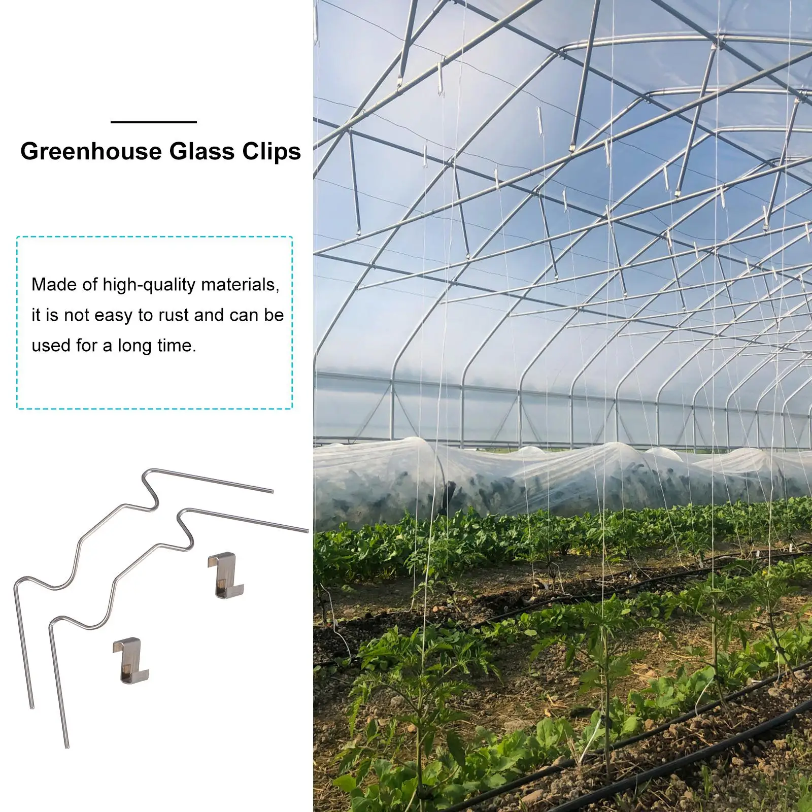 100 Pcs Glass Clips Greenhouse Fixing Clamps Stainless Steel Plant Accessories Hanging Wire Gardening Supplies
100 Pcs Glass Clips Greenhouse Fixing Clamps Stainless Steel Plant Accessories Hanging Wire Gardening Supplies
