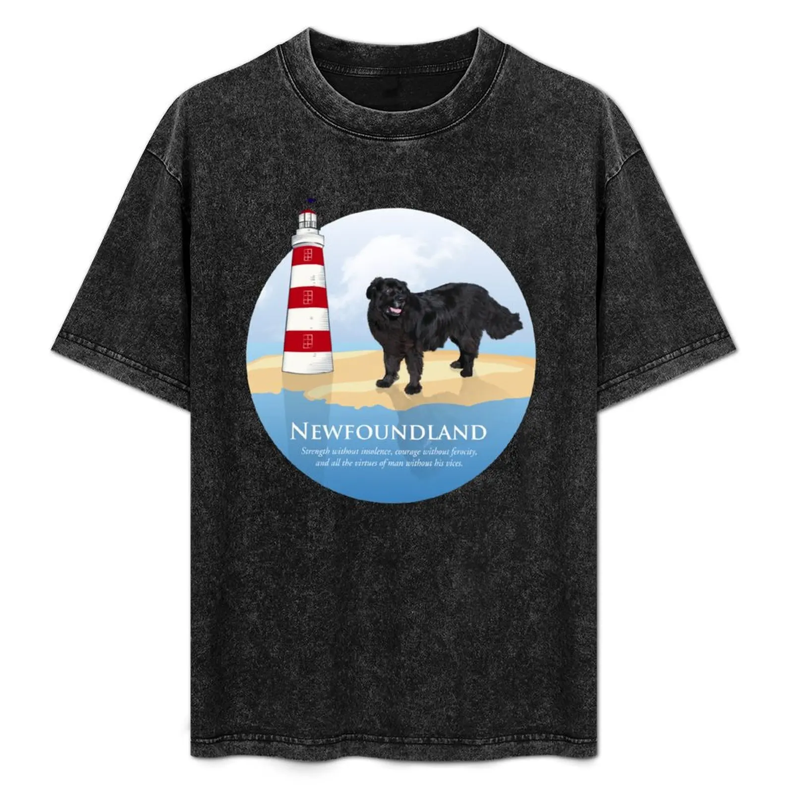 Samson visit Newfoundland! T-Shirt T-shirts man kawaii clothes customs design your own outfits for men
Samson visit Newfoundland! T-Shirt T-shirts man kawaii clothes customs design your own outfits for men