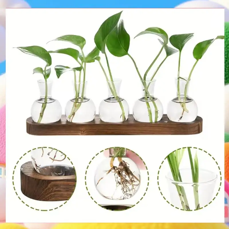 Plant Terrarium Glass Vase Modern Transparent With Wooden Tray, Indoor Desktop Decor-ABUA
Plant Terrarium Glass Vase Modern Transparent With Wooden Tray, Indoor Desktop Decor-ABUA