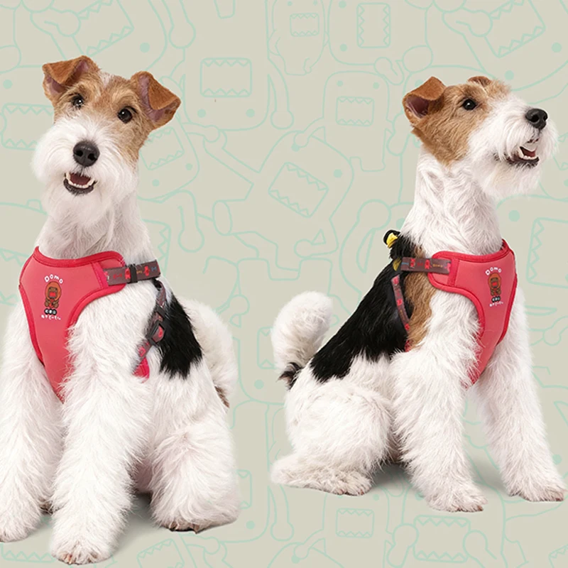 Explosion Proof Dog Leash Lightweight Adjustable Dog Chest and Back Walking Harness Leash Vest Style Puppy Dog Outdoor Supplies
Explosion Proof Dog Leash Lightweight Adjustable Dog Chest and Back Walking Harness Leash Vest Style Puppy Dog Outdoor Supplies