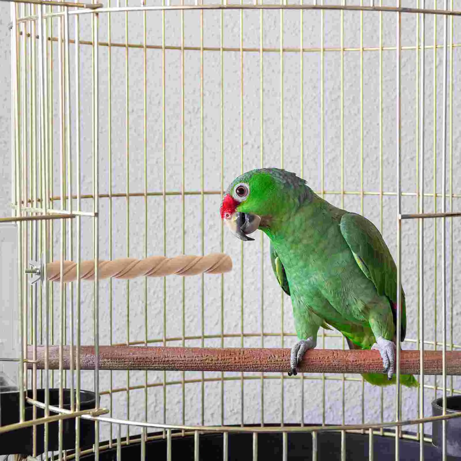 Bird Toy Balance Wooden Perch Cage Plaything Parakeet Accessories Stands for Parrots Hanging
Bird Toy Balance Wooden Perch Cage Plaything Parakeet Accessories Stands for Parrots Hanging