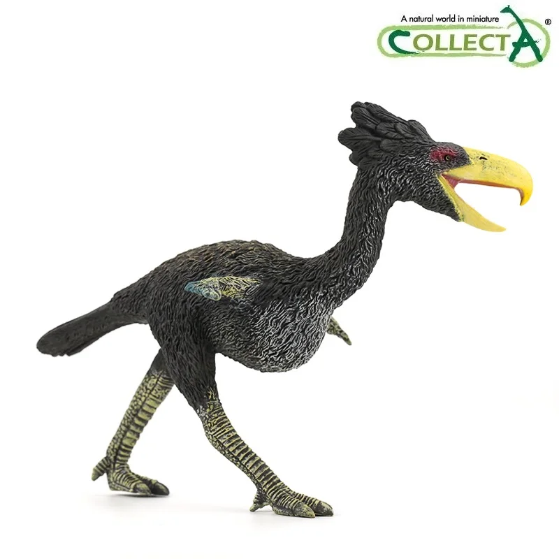 CollectA Axolotls Scorpion Shark Bear Monkey Animal Model Collection Toy Gift
CollectA Axolotls Scorpion Shark Bear Monkey Animal Model Collection Toy Gift