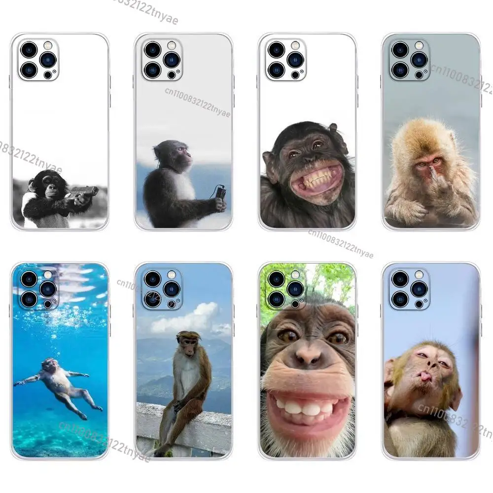 Cute Funny Monkey Phone Case For iPhone 16,Pro,15,ProMax,14,Plus,13,12,11,Pro,16,E IPhone Air,17,Pro Drop Protection Cover
Cute Funny Monkey Phone Case For iPhone 16,Pro,15,ProMax,14,Plus,13,12,11,Pro,16,E IPhone Air,17,Pro Drop Protection Cover