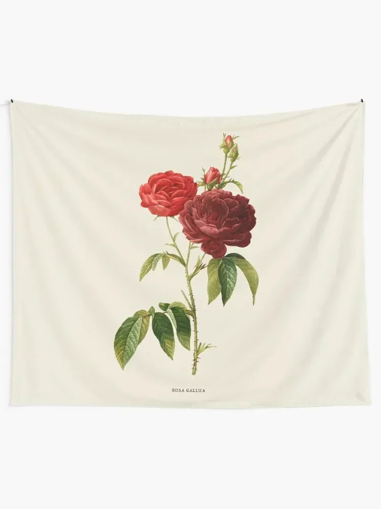 Purple Rose Antique Botanical Illustration Tapestry Decoration Room Room Decorations Aesthetic Decoration Bedroom Tapestry
Purple Rose Antique Botanical Illustration Tapestry Decoration Room Room Decorations Aesthetic Decoration Bedroom Tapestry