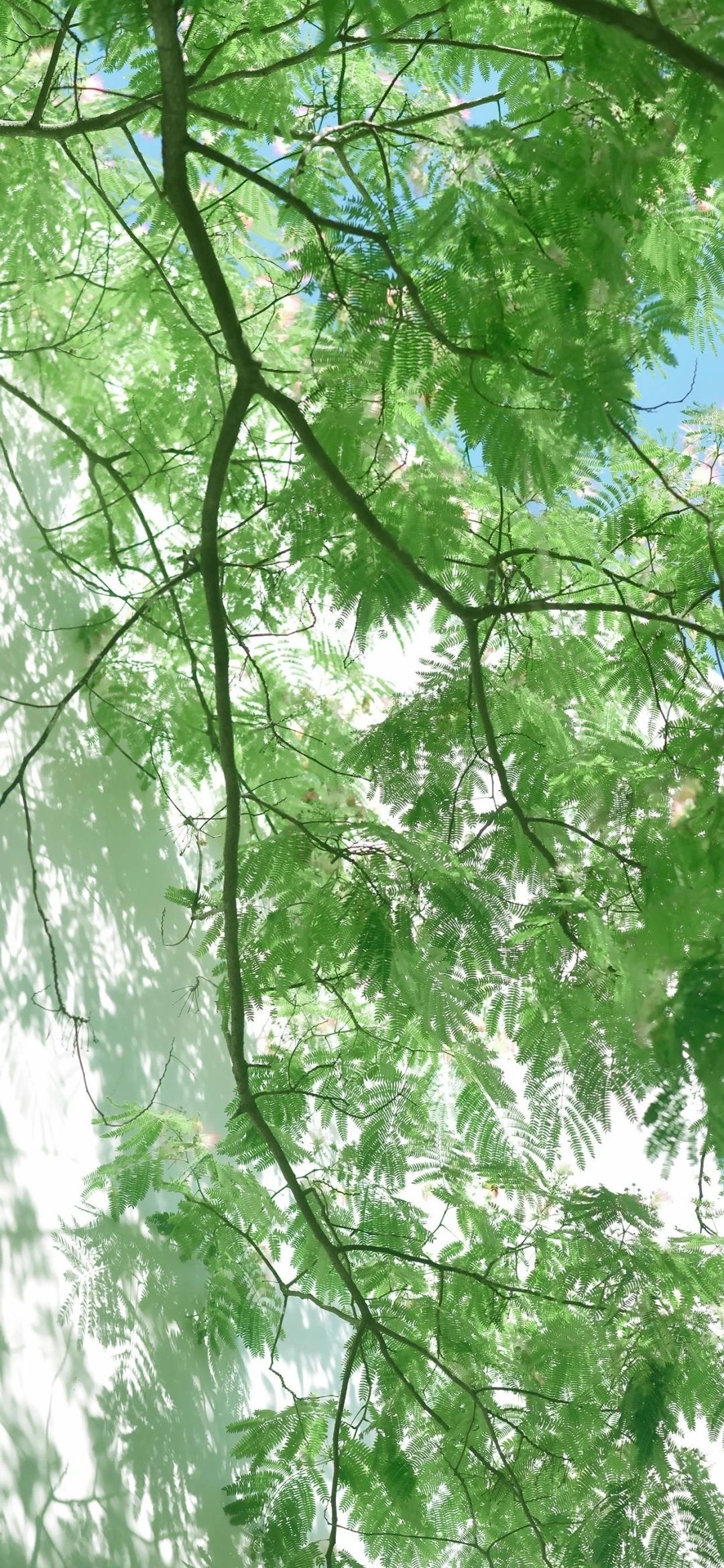 4pcs 100x42mm 42/100 Tire Tyre 17mm Wheel Hex for Arrma 1/7 Infraction Felony Limitless RC Car Upgrade Parts Accessories
4pcs 100x42mm 42/100 Tire Tyre 17mm Wheel Hex for Arrma 1/7 Infraction Felony Limitless RC Car Upgrade Parts Accessories