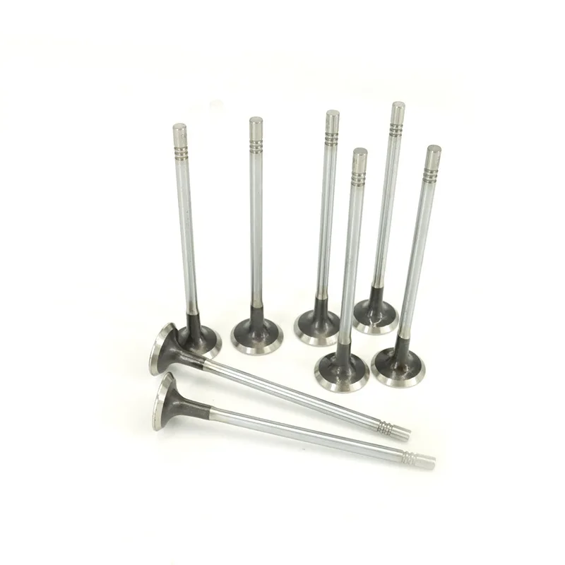 12636318 is applicable to the exhaust valve of the Buick Equinox 1.5T/LYX engine
12636318 is applicable to the exhaust valve of the Buick Equinox 1.5T/LYX engine