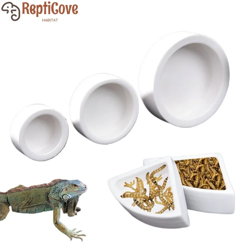 Керамическая миска для кормления рептилий, тарелка для еды и воды для мордатки/бешеного ящерицы/ящерицы/змеи/хомяка, миска для кормления мучного червя
Керамическая миска для кормления рептилий, тарелка для еды и воды для мордатки/бешеного ящерицы/ящерицы/змеи/хомяка, миска для кормления мучного червя