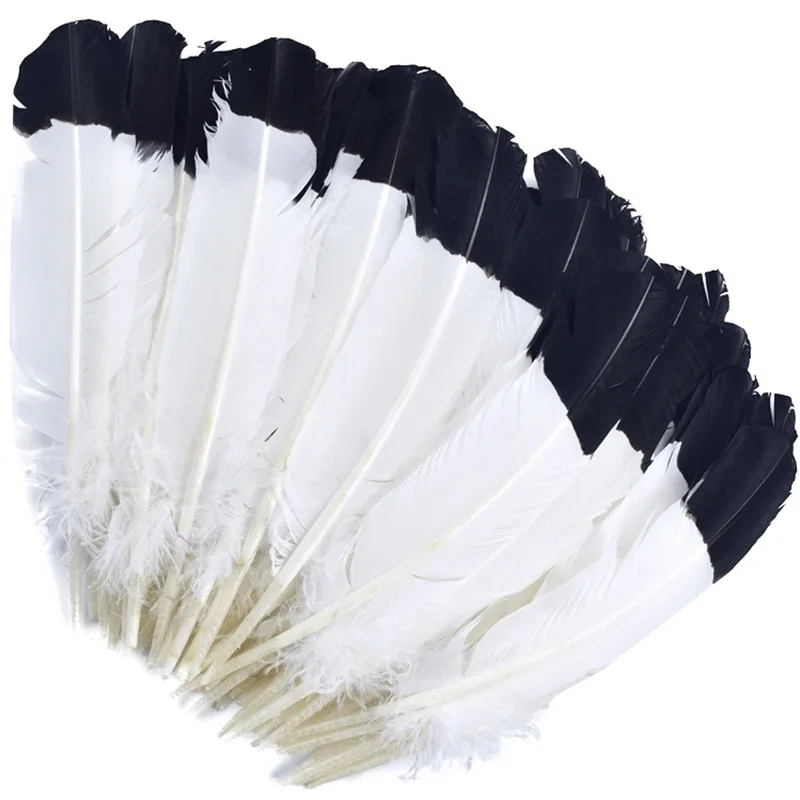 White Turkey Wing Quill Feather Decor Black Tipped Imitation Carnival Eagle Feathers Crafts Hats Carnival Accessories Decoration
White Turkey Wing Quill Feather Decor Black Tipped Imitation Carnival Eagle Feathers Crafts Hats Carnival Accessories Decoration