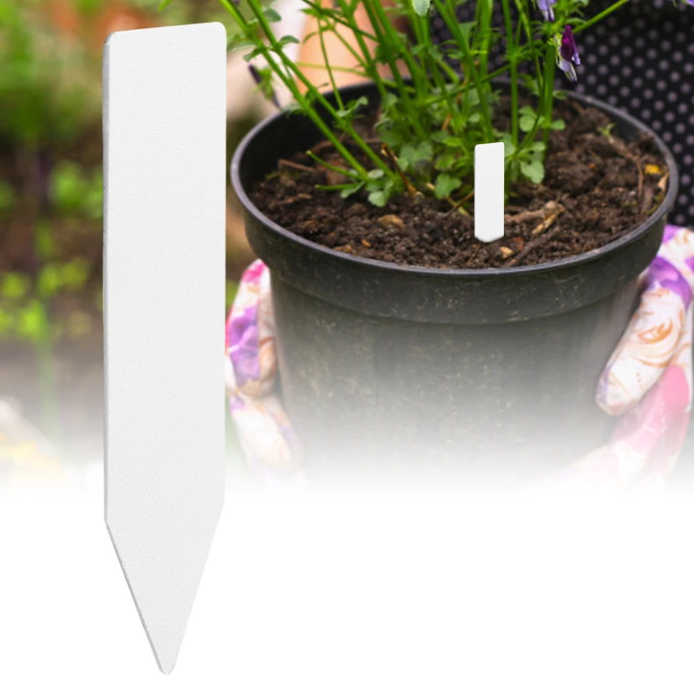 100pcs Plastic Plant Labels Reusable Garden Plants Marker Waterproof Plastic Nursery Plaques For Plants Tags Markers
100pcs Plastic Plant Labels Reusable Garden Plants Marker Waterproof Plastic Nursery Plaques For Plants Tags Markers