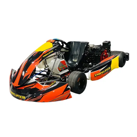 China Factory Adult Go Kart Manufacturers Directly Sell Go Karts for Gx200 Track Outdoor Sports and Entertainment for Racing Go