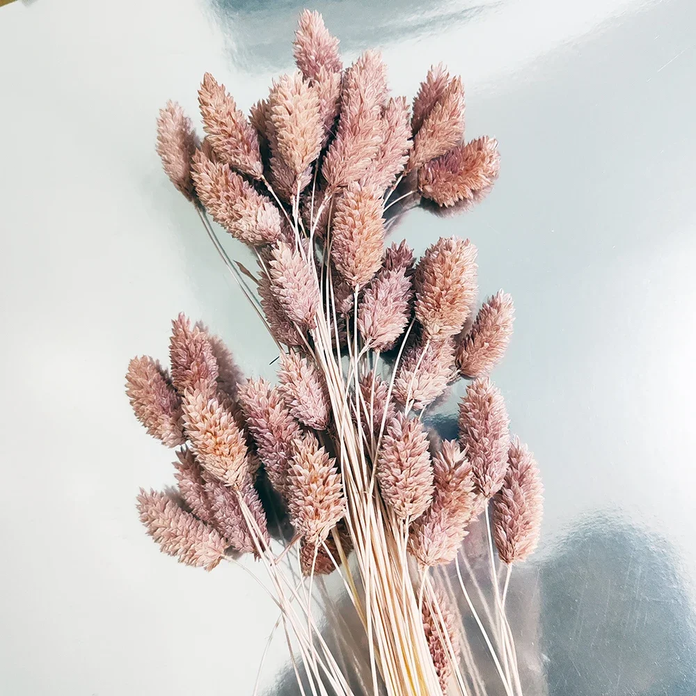 Natural Gem & Bunny Tails Grass Bouquet, Artificial Flowers for Wedding Boho Decor Floral Arrangementoutdoor Decor
Natural Gem & Bunny Tails Grass Bouquet, Artificial Flowers for Wedding Boho Decor Floral Arrangementoutdoor Decor