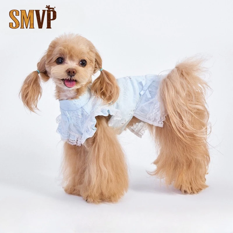 Cute Lace Dog Dress Breathable Summer Dress With Lace Trim For Small Dogs Perfect For Photos And Daily Wear Puppy Clothes
Cute Lace Dog Dress Breathable Summer Dress With Lace Trim For Small Dogs Perfect For Photos And Daily Wear Puppy Clothes