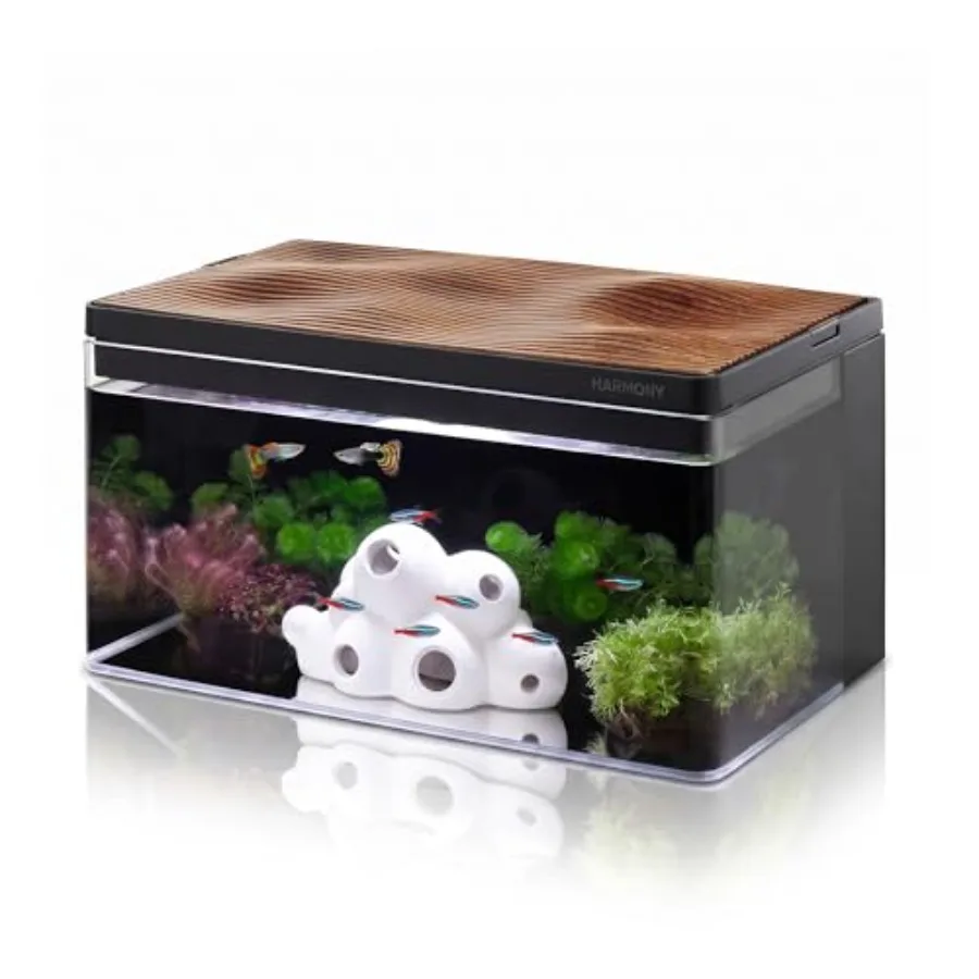 All-in-One aquarium kit for home use, low-iron glass, black tank with oak grain top, integrated filtration and LED light, award
All-in-One aquarium kit for home use, low-iron glass, black tank with oak grain top, integrated filtration and LED light, award