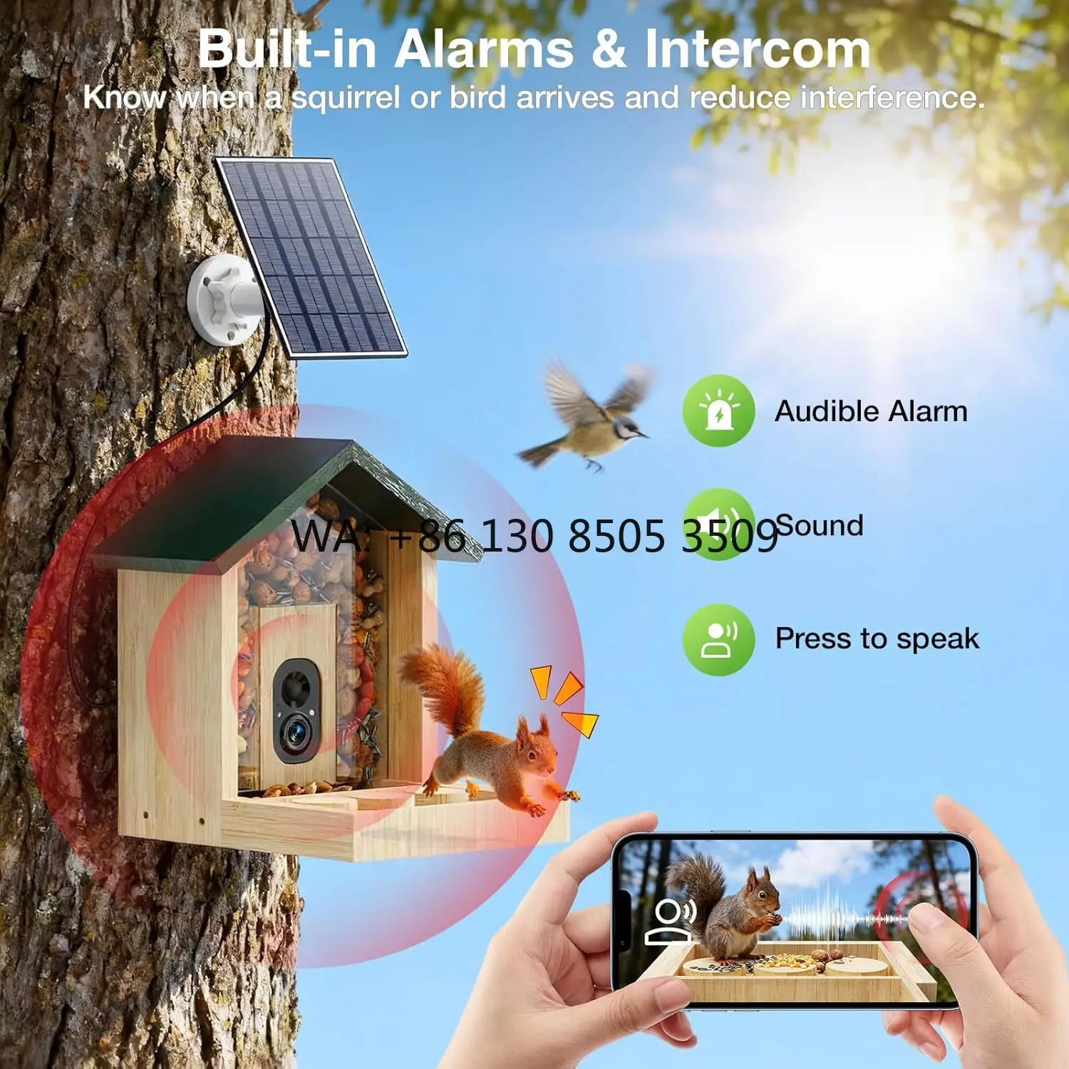 Squirrel Lovers Gifts Solar Powered Squirrel House Tree Mount Wooden Bird Feeder Smart Cedar Squirrel Feeder with Solar Panel
Squirrel Lovers Gifts Solar Powered Squirrel House Tree Mount Wooden Bird Feeder Smart Cedar Squirrel Feeder with Solar Panel