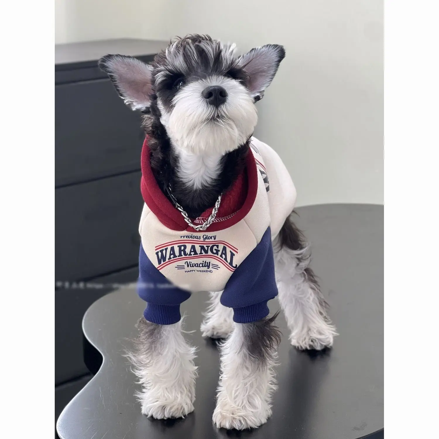 Pet cat and dog clothes, autumn and winter cotton velvet British style black body pink hooded sweater Schnauzer clothes
Pet cat and dog clothes, autumn and winter cotton velvet British style black body pink hooded sweater Schnauzer clothes