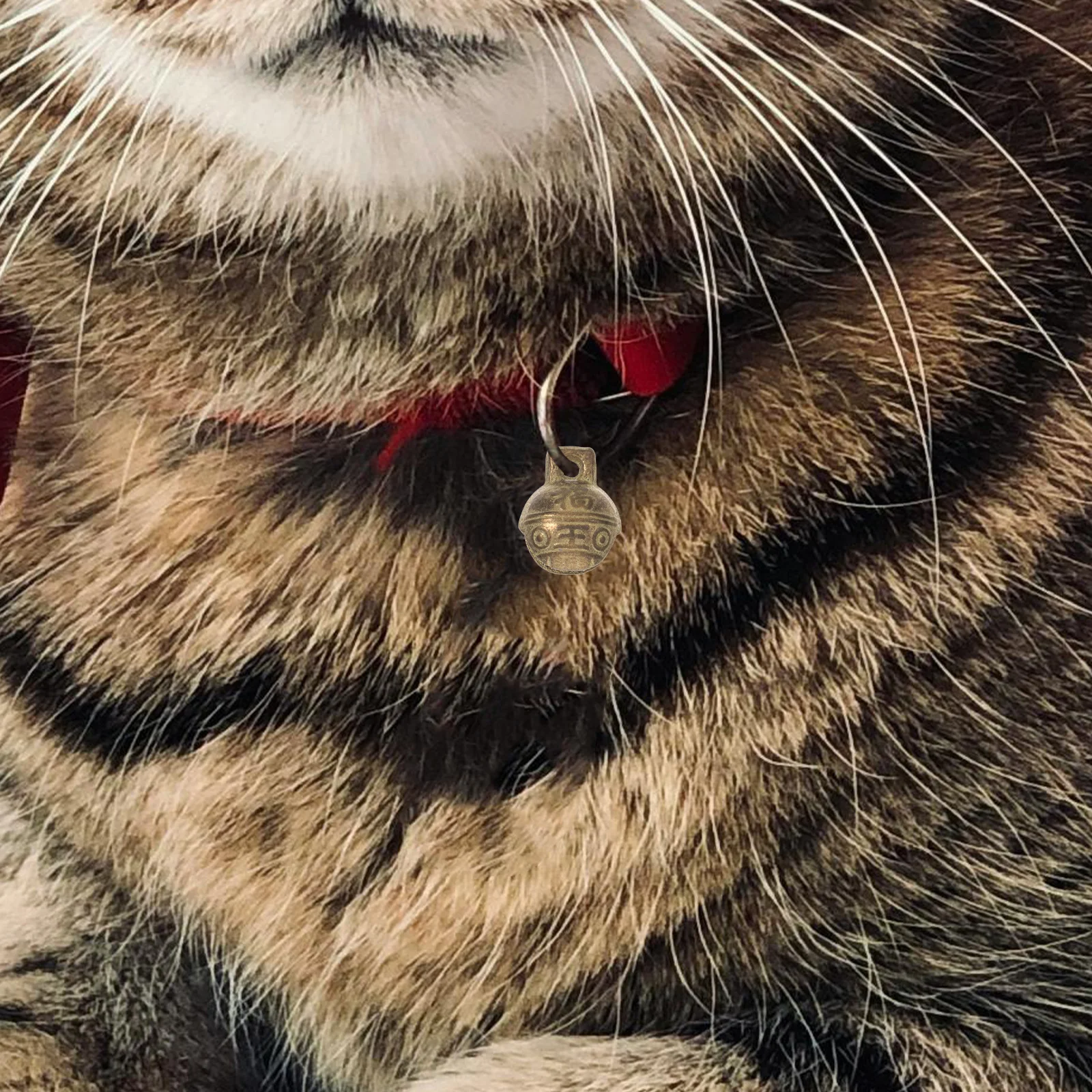 10pcs Copper Bells 1.4Cm Tiger Head Design Pet Collar Charm Diy Craft Decorative Brass Bells For Cat Dog Puppy Wind Chimes
10pcs Copper Bells 1.4Cm Tiger Head Design Pet Collar Charm Diy Craft Decorative Brass Bells For Cat Dog Puppy Wind Chimes