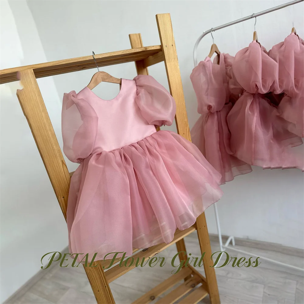 Petal Muted Blush Kids Birthday Party Dress Round Neck Short Sleeve Pageant Dress for Girl Back Big Bow First Communion Gown
Petal Muted Blush Kids Birthday Party Dress Round Neck Short Sleeve Pageant Dress for Girl Back Big Bow First Communion Gown