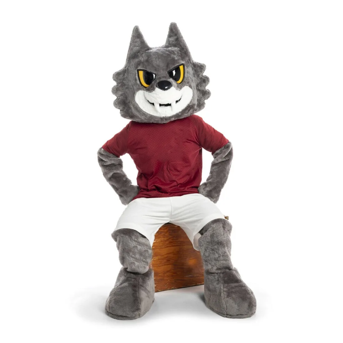 Romolo Wolf Mascot Costume Custom Grey Wolf Theme Cartoon Anime Holiday Cosplay Carnival Fancy Dress Kits Suit party Suits
Romolo Wolf Mascot Costume Custom Grey Wolf Theme Cartoon Anime Holiday Cosplay Carnival Fancy Dress Kits Suit party Suits