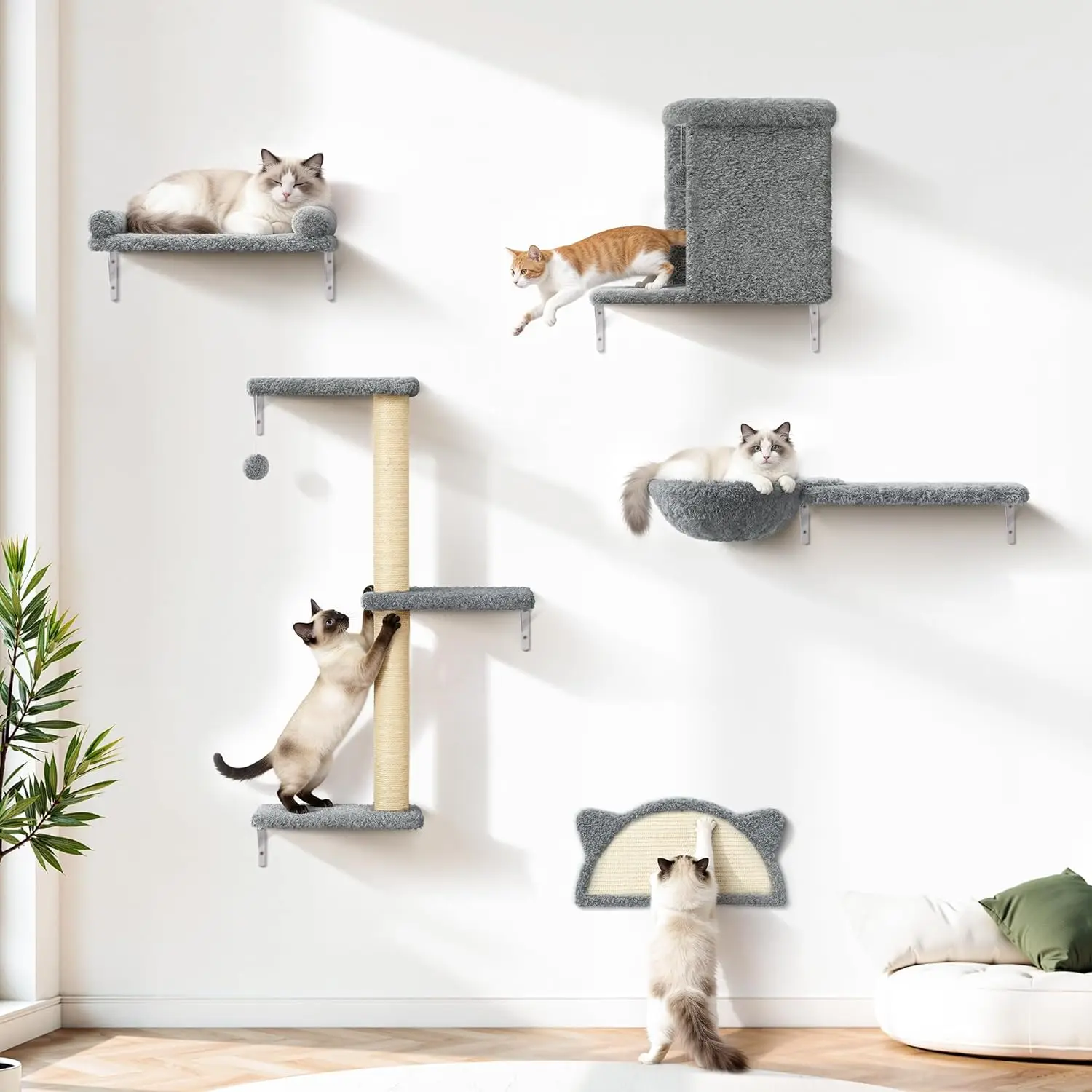 5-in-1 Cat Wall Shelves with Velvet & Sisal, 44lbs Max Load, Wall Mounted Furniture for Climbers
5-in-1 Cat Wall Shelves with Velvet & Sisal, 44lbs Max Load, Wall Mounted Furniture for Climbers