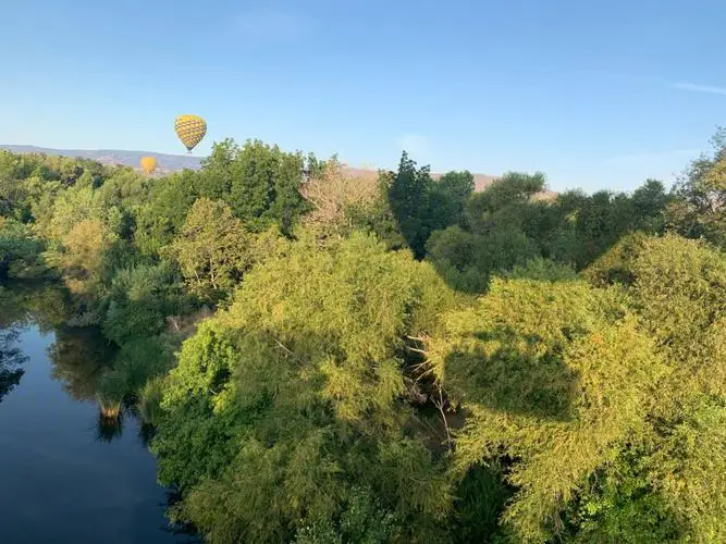 ForTamiya 60D Soft Rally Tires - Leather Grain RallyBlock for M-Cars (60mm) Meijiaxin 1/14 Rally Car Universal 2pcs/4pcs - 51427
ForTamiya 60D Soft Rally Tires - Leather Grain RallyBlock for M-Cars (60mm) Meijiaxin 1/14 Rally Car Universal 2pcs/4pcs - 51427