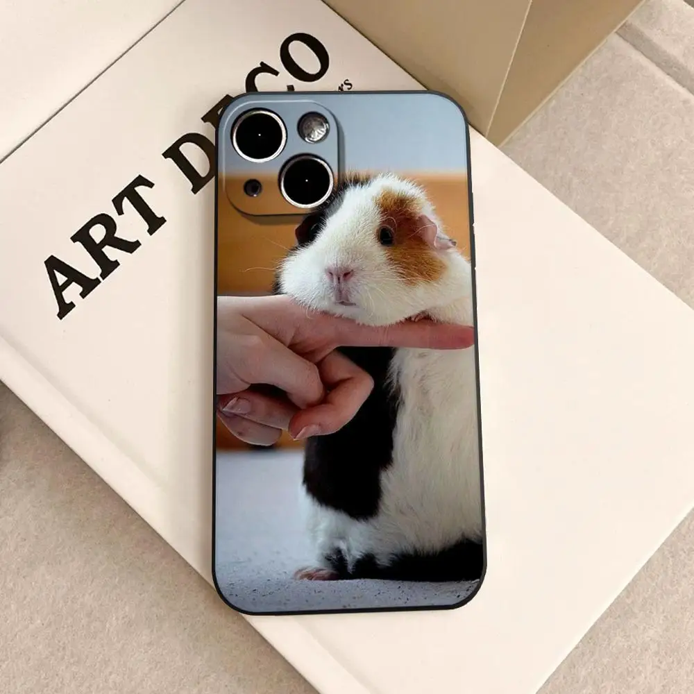 INS Creative Kawaii rabbit Phone Case for iPhone 17 16e 16 15 14 13 12 11 Pro Max X Xs 8 7 Air Plus Feather Texture Back Cover
INS Creative Kawaii rabbit Phone Case for iPhone 17 16e 16 15 14 13 12 11 Pro Max X Xs 8 7 Air Plus Feather Texture Back Cover