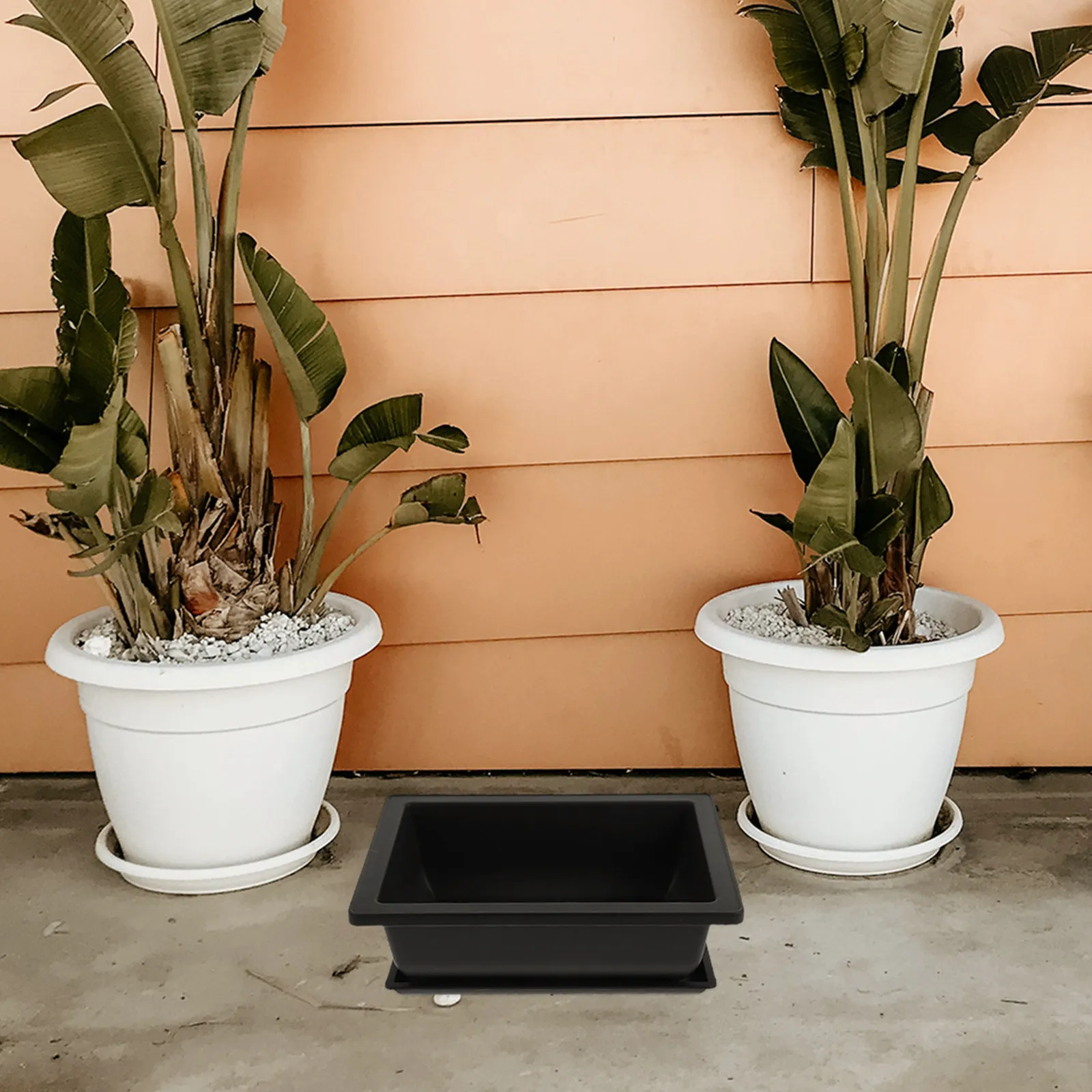 Набор из 1 прямоугольного пластикового контейнера для выращивания цветов и суккулентов, с дренажем, для использования в помещении и на улице, маленькие цветочные горшки для садоводства
Набор из 1 прямоугольного пластикового контейнера для выращивания цветов и суккулентов, с дренажем, для использования в помещении и на улице, маленькие цветочные горшки для садоводства