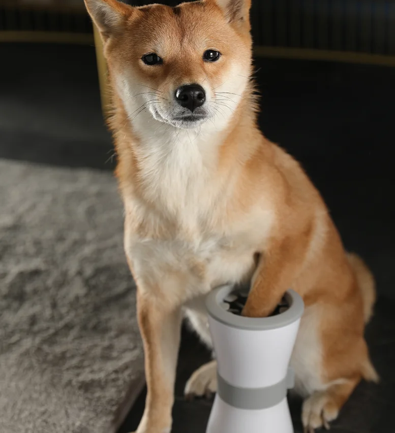 Pet electric foot washing cup, dog foot washing artifact, cat automatic claw washing device
Pet electric foot washing cup, dog foot washing artifact, cat automatic claw washing device