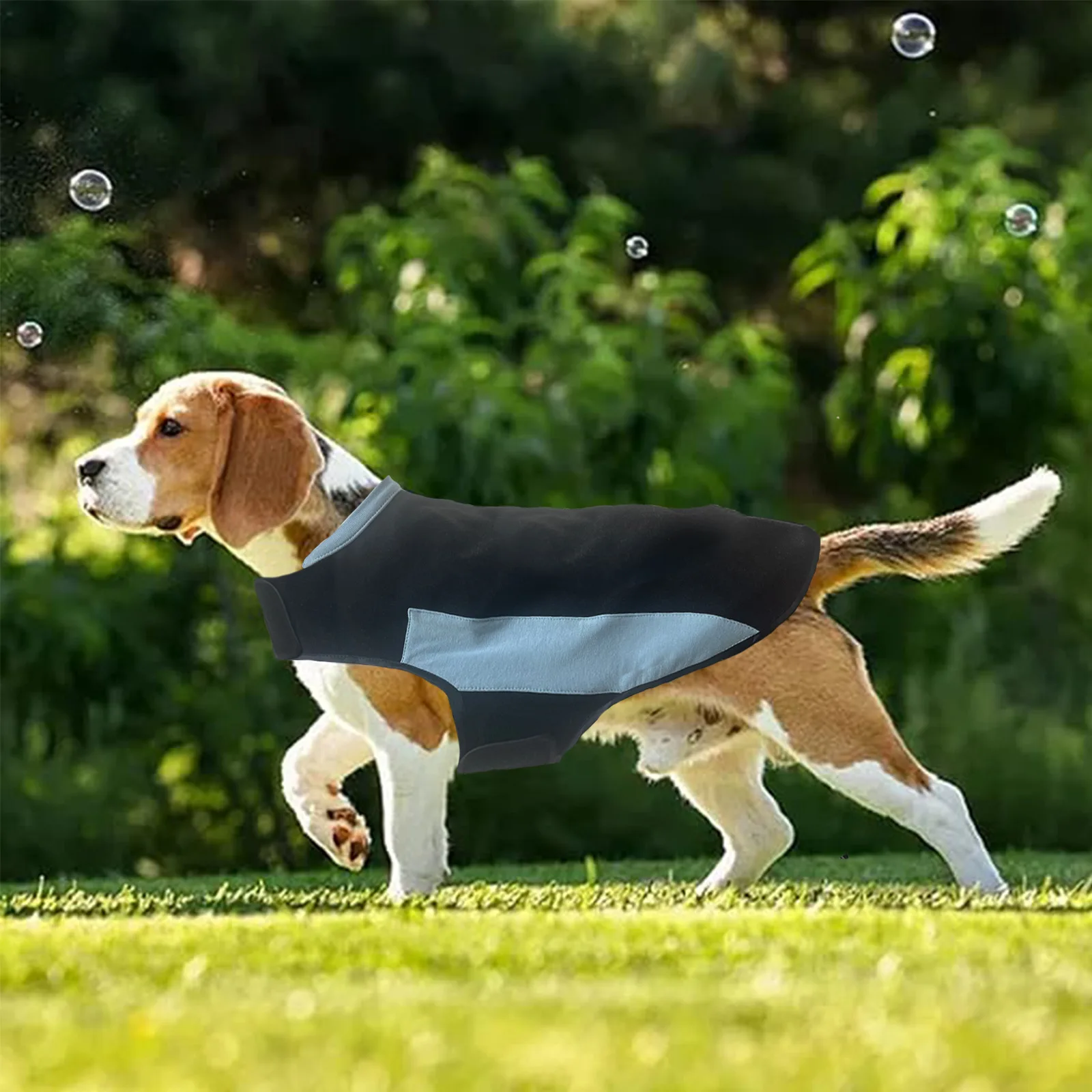 Household Outdoor Pet Clothing Dog Cat Clothing Soothing Calming Warm Clothing Comfortable
Household Outdoor Pet Clothing Dog Cat Clothing Soothing Calming Warm Clothing Comfortable