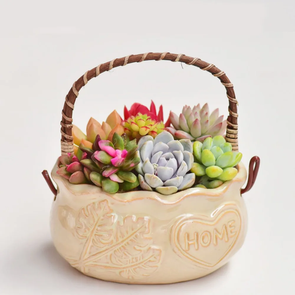 Creative Succulent Planter Decorative Ornament Multifunction Resin Flower Pot Corrosion-resistant with Handle
Creative Succulent Planter Decorative Ornament Multifunction Resin Flower Pot Corrosion-resistant with Handle