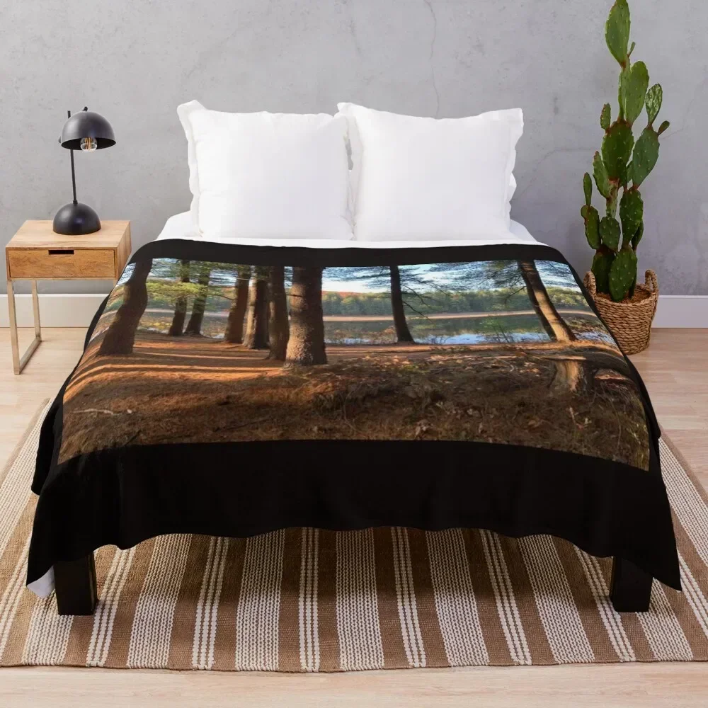Maxfield Parrish Landscape Photograph by Ellen Barton Harriman Throw Blanket Single Sofa Thermals For Travel Blankets
Maxfield Parrish Landscape Photograph by Ellen Barton Harriman Throw Blanket Single Sofa Thermals For Travel Blankets