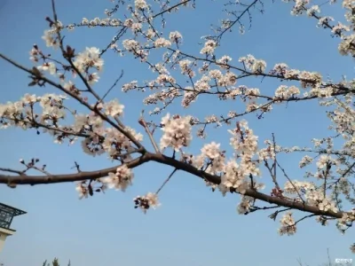 FOR WLtoys 1/14 144001 144010 144002 1/12 124017 124019 124018 124010 1/14 1/18RC Car Metal Wheel hub tire coupling M4 nut spar
FOR WLtoys 1/14 144001 144010 144002 1/12 124017 124019 124018 124010 1/14 1/18RC Car Metal Wheel hub tire coupling M4 nut spar