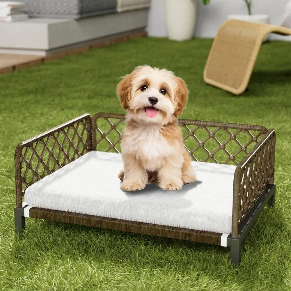 Elevated All-Weather Wicker Dog Bed with Washable Waterproof Cushion for Small Dogs, Brown Rattan/White Mat
Elevated All-Weather Wicker Dog Bed with Washable Waterproof Cushion for Small Dogs, Brown Rattan/White Mat