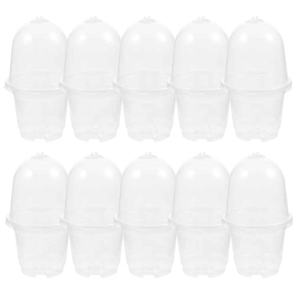Transparent Seedling Pot Nursery for Plants Plastic Pots Small Flowerpot Garden Indoor
Transparent Seedling Pot Nursery for Plants Plastic Pots Small Flowerpot Garden Indoor