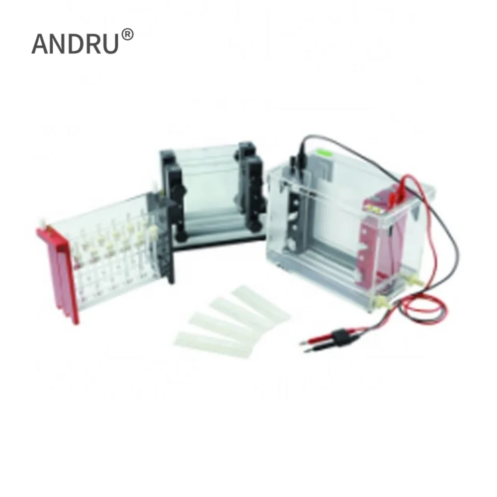 JY-SX3 series 2D Gel Electrophoresis Two-dimensional vertical ID tube gel electrophoresis No need high-current power supply
JY-SX3 series 2D Gel Electrophoresis Two-dimensional vertical ID tube gel electrophoresis No need high-current power supply