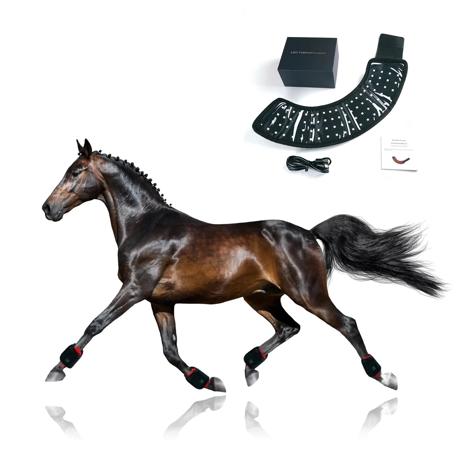 Built-In Battery LED Red Grow Light Hoof Therapy Boot 660nm & 850nm Equine Pain Relief Device
Built-In Battery LED Red Grow Light Hoof Therapy Boot 660nm & 850nm Equine Pain Relief Device