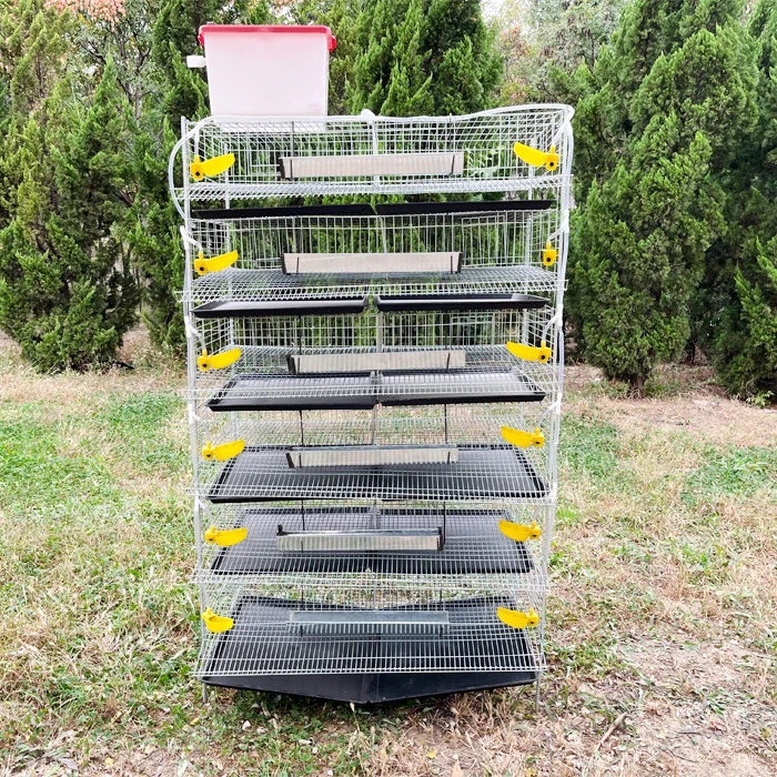 Quail Cage, Partridge Cage, Raised Vertical Quail Cage, Partridge Cage Can Automatically Clear Manure, Multi-layer Breeding Cage
Quail Cage, Partridge Cage, Raised Vertical Quail Cage, Partridge Cage Can Automatically Clear Manure, Multi-layer Breeding Cage