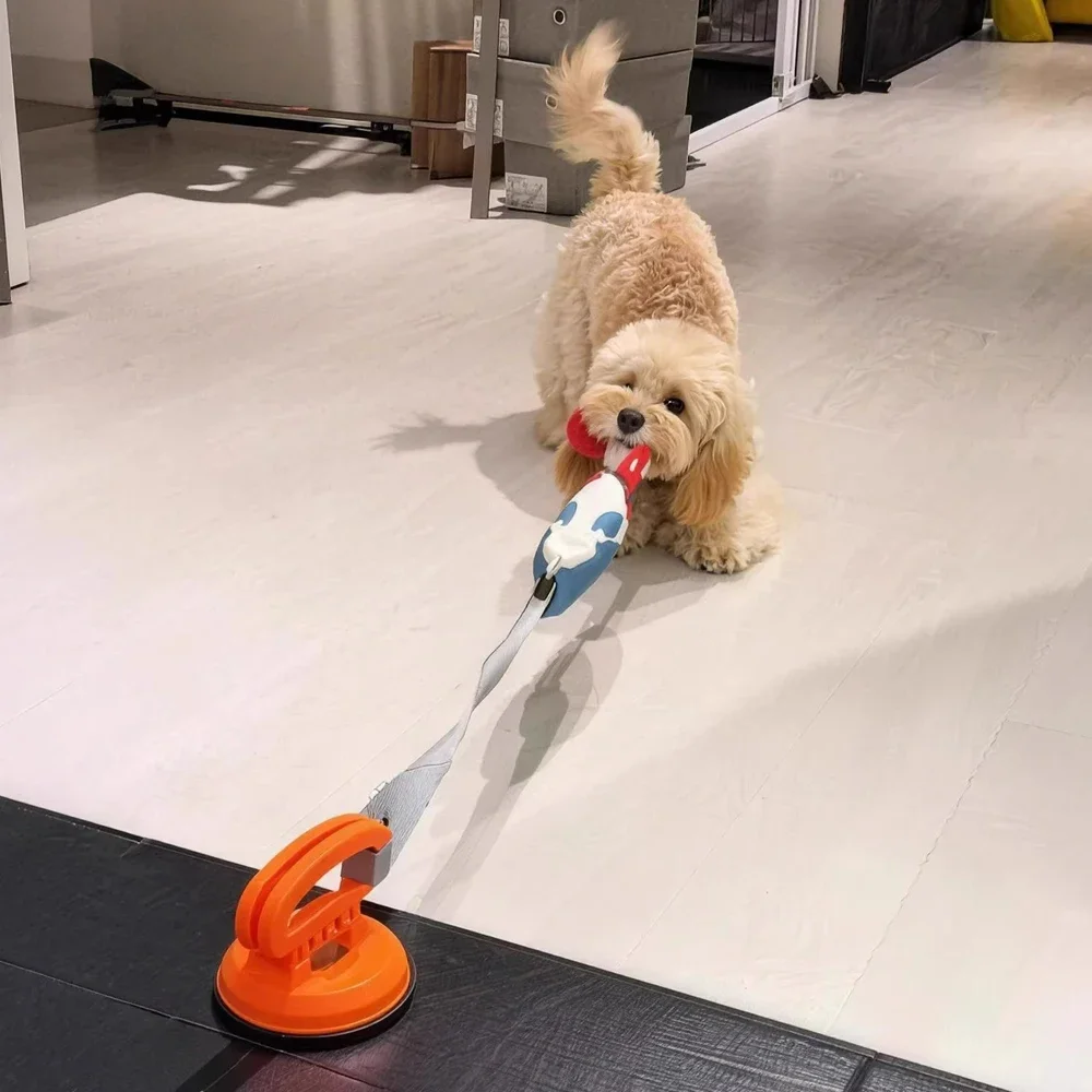 Suction Cup Tug Of War Puppy Training Treats Teething Toys Interactive Dog Toys Aggressive Chewer Indestructible Puzzle Toys
Suction Cup Tug Of War Puppy Training Treats Teething Toys Interactive Dog Toys Aggressive Chewer Indestructible Puzzle Toys