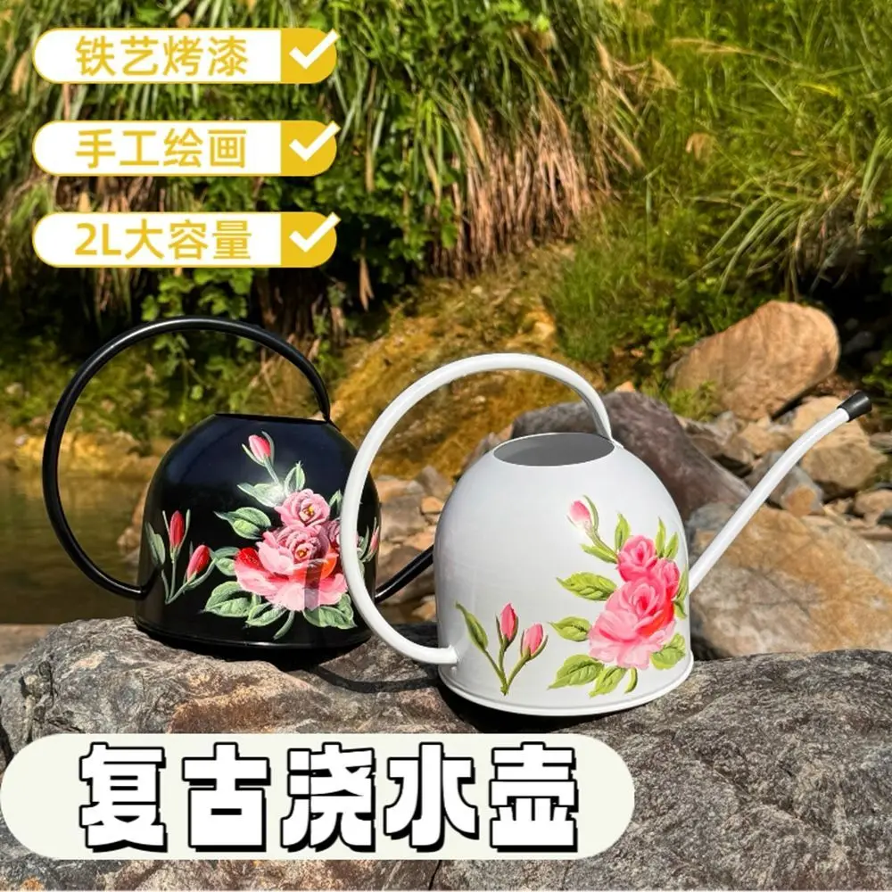 Outdoor garden iron art retro watering can 2l large capacity watering can
Outdoor garden iron art retro watering can 2l large capacity watering can