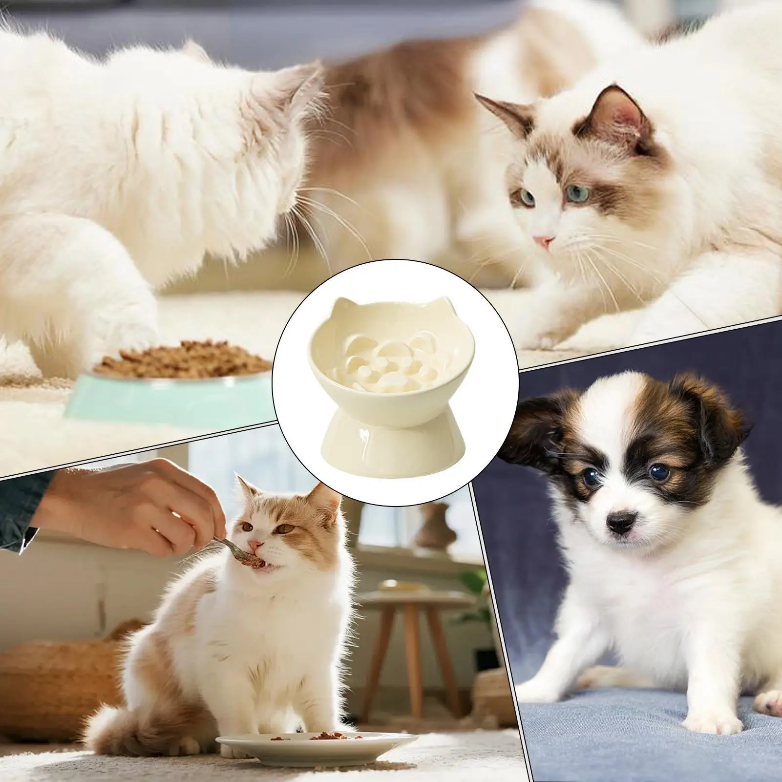 Raised Cat Dish Ceramic Slow Feeder High Cat Bowls For Home Kitchen Dining Area Living Room Apartment Patio
Raised Cat Dish Ceramic Slow Feeder High Cat Bowls For Home Kitchen Dining Area Living Room Apartment Patio