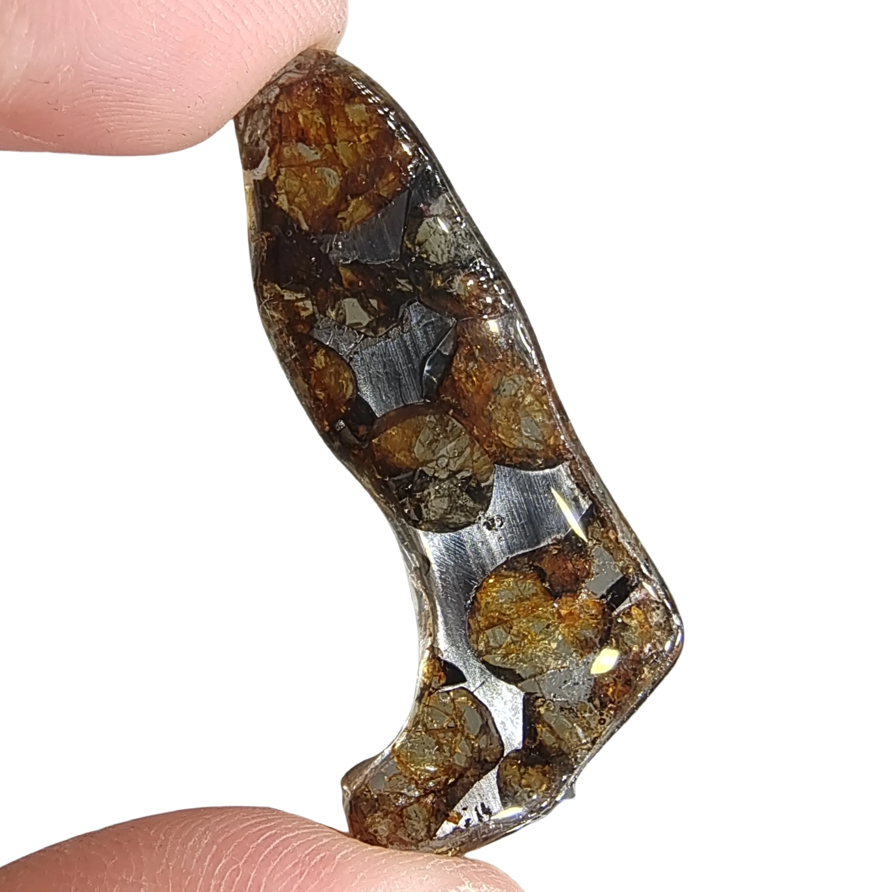 3.1g Seymchan Pallasite Olive Meteorite Slices Specimen Natural Meteorite Material Sliced Collection - TA765
3.1g Seymchan Pallasite Olive Meteorite Slices Specimen Natural Meteorite Material Sliced Collection - TA765