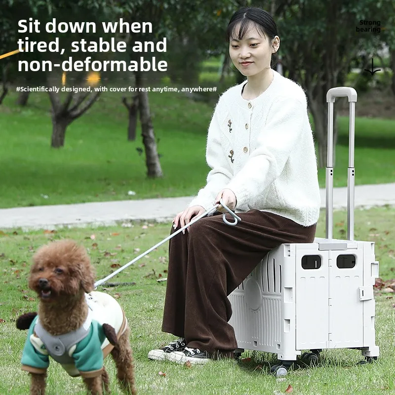 Portable Folding Pet Stroller Lightweight Travel Cart for Dogs And s Teddy Hand Pu Car Outdoors Cact Storable oppin... 
Portable Folding Pet Stroller Lightweight Travel Cart for Dogs And s Teddy Hand Pu Car Outdoors Cact Storable oppin...